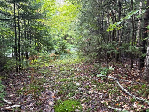 Terre/Terrain - Ch. Du Club, Saint-Hippolyte, QC 