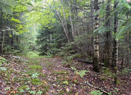 Terre/Terrain - Ch. Du Club, Saint-Hippolyte, QC 