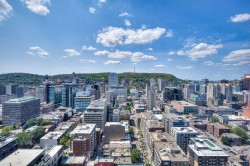 View - 
