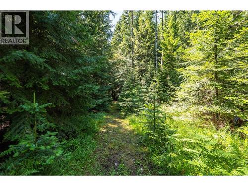 541 Bear Road, Salmo, BC - Outdoor