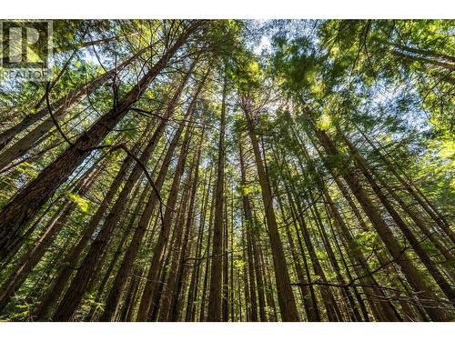 541 Bear Road, Salmo, BC - Outdoor