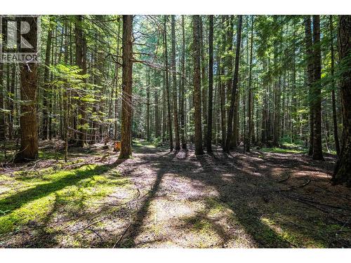 541 Bear Road, Salmo, BC - Outdoor With View