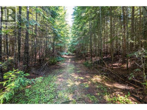541 Bear Road, Salmo, BC - Outdoor With View