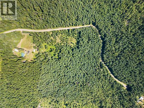 541 Bear Road, Salmo, BC - Outdoor