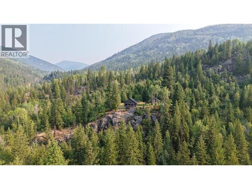 220 Grohman Creek Road, Nelson, BC - Outdoor With View