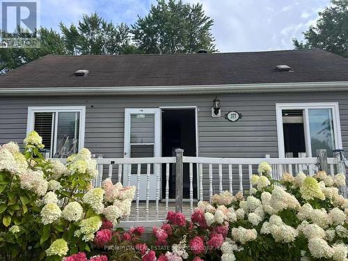 377 WALTER DRIVE , Georgina, Ontario L4P 3A8 4