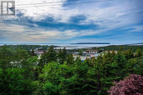 32 Dawsons Run, Conception Bay South, NL - Outdoor With View