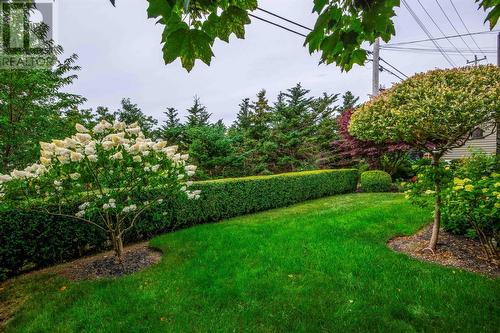32 Dawsons Run, Conception Bay South, NL - Outdoor