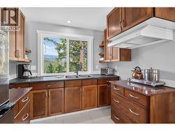 upper level kitchen - no stove just a hotplate - 