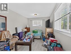 lower level bedroom - 