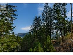 small lakeview from the upper level deck - 