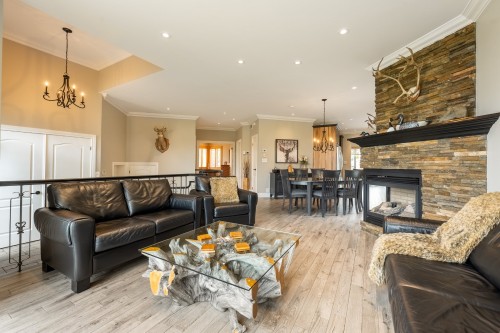 Salon - 231 Ch. Du Richelieu, Saint-Basile-Le-Grand, QC - Indoor Photo Showing Living Room With Fireplace