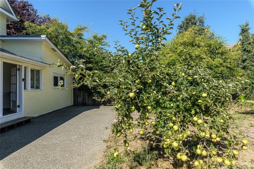 9899 Maple St, Chemainus, BC 