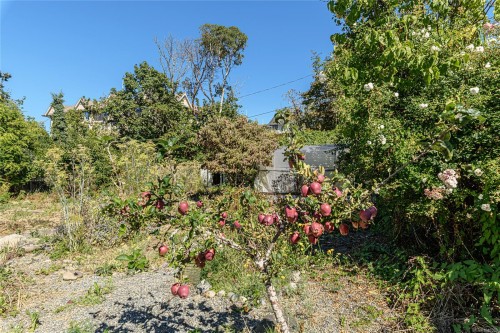 9899 Maple St, Chemainus, BC 