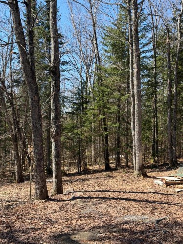 Terre/Terrain - Rue Des Cèdres, Chertsey, QC 