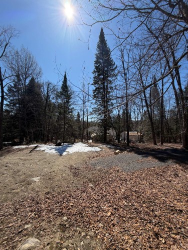 Terre/Terrain - Rue Des Cèdres, Chertsey, QC 