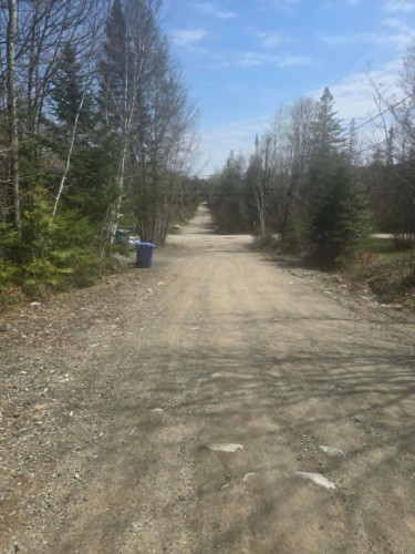 Terre/Terrain - Rue Des Cèdres, Chertsey, QC 