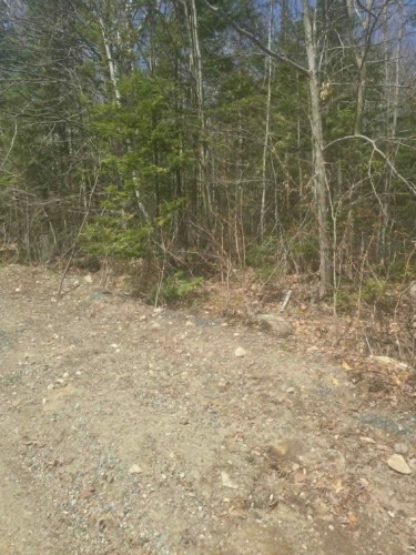 Terre/Terrain - Rue Des Cèdres, Chertsey, QC 
