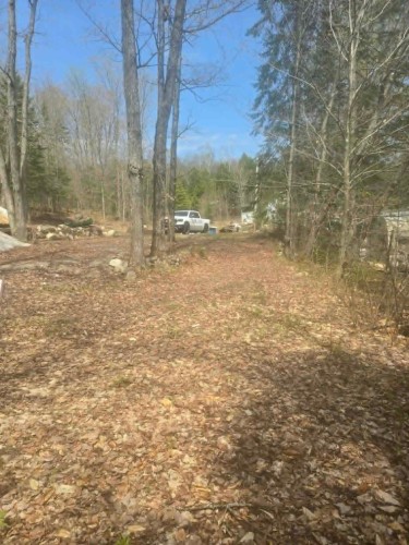 Terre/Terrain - Rue Des Cèdres, Chertsey, QC 