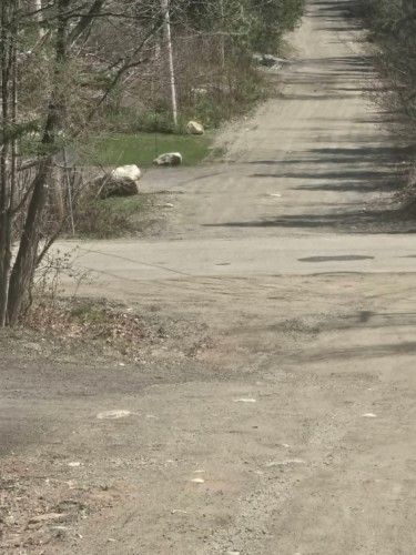 Terre/Terrain - Rue Des Cèdres, Chertsey, QC 