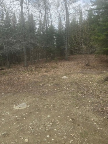 Terre/Terrain - Rue Des Cèdres, Chertsey, QC 
