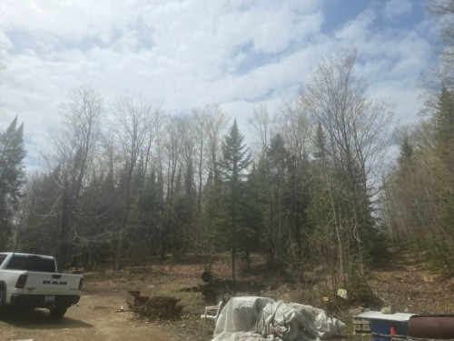 Terre/Terrain - Rue Des Cèdres, Chertsey, QC 