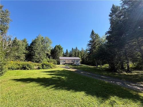 948 Dugan Rd, Limestone, NB 