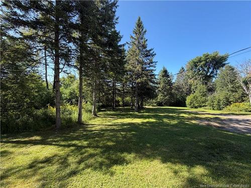 948 Dugan Rd, Limestone, NB 