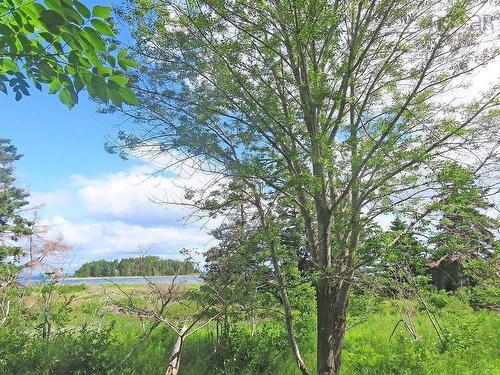 5875 West Bay Road, Roberta, NS - Outdoor With View