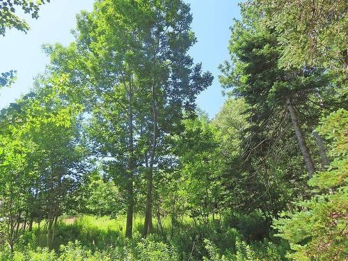 5875 West Bay Road, Roberta, NS - Outdoor