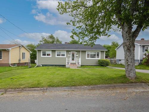 232 Cusack Drive, Sydney, NS 