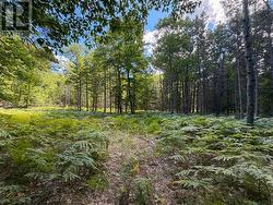 N/A McArthur Trail Gore Bay, Manitoulin Island, ON P0P 1H0