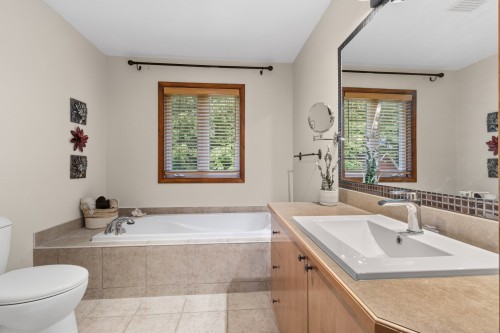 Salle de bains - 60 Ch. De St-Moritz, Saint-Sauveur, QC - Indoor Photo Showing Bathroom