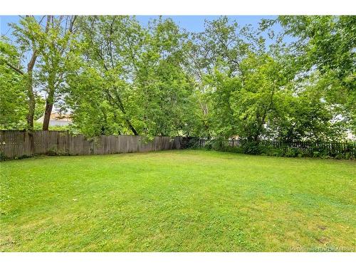 241 Saunders St, Fredericton, NB - Outdoor