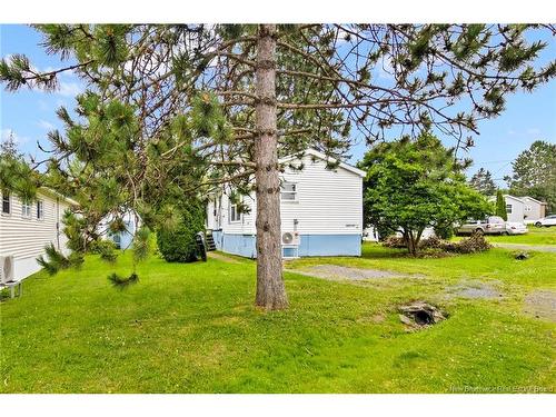 294 Magnolia Lane, Fredericton, NB 