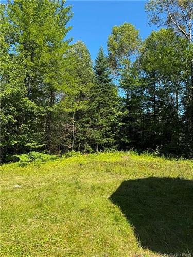 691 Williamstown Rd, Williamstown, NB 