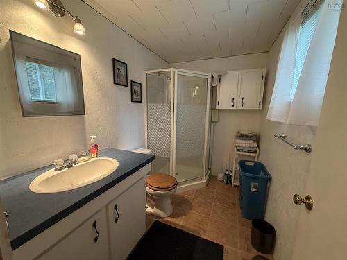 148 Brier Hill Road, Upper Clyde River, NS - Indoor Photo Showing Bathroom