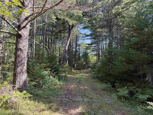 148 Brier Hill Road, Upper Clyde River, NS - Outdoor