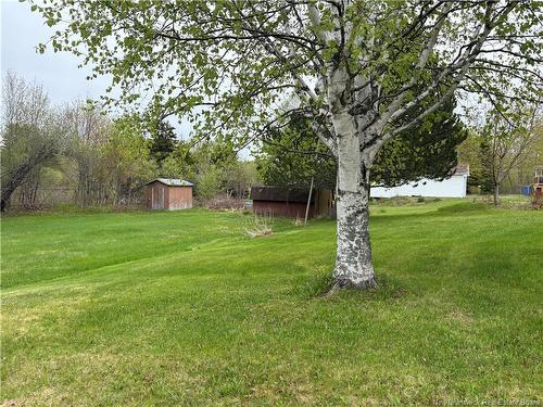 701 Chaleur St, Charlo, NB 