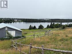 A view of the pond across the road - 