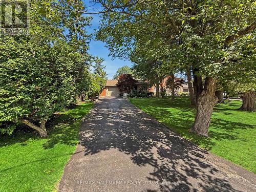 Tons of parking -private mature trees privacy - 52 Colonel Danforth Trail, Toronto, ON 