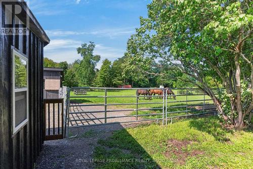 1103 County Road 2, Augusta, ON 