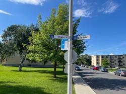 Street - 
