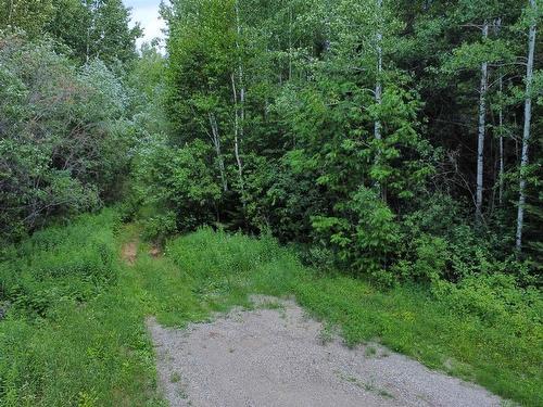0 Thomas Road, Marks Township, ON 