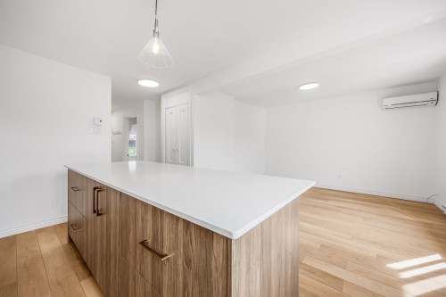 Vue d'ensemble - 8745 Rue Hochelaga, Montréal (Mercier/Hochelaga-Maisonneuve), QC 