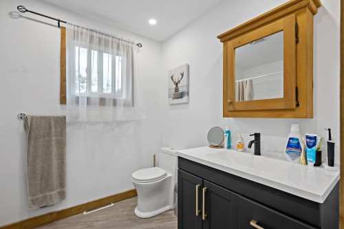 Salle de bains - 110 Rue Brosseau, Amherst, QC 