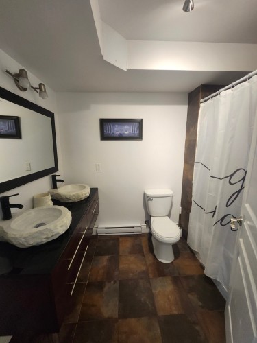 Sous-sol - 19 Av. Des Buses, Saint-Sauveur, QC 