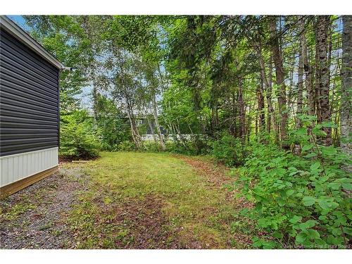 1 Daley St, Lincoln, NB 