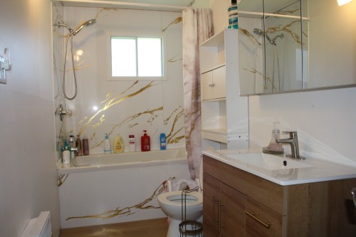 Salle de bains - 10150 Route 335, Saint-Calixte, QC 