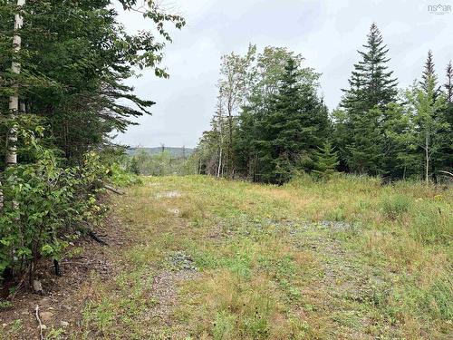 . Intervale Road, Huntington, NS 